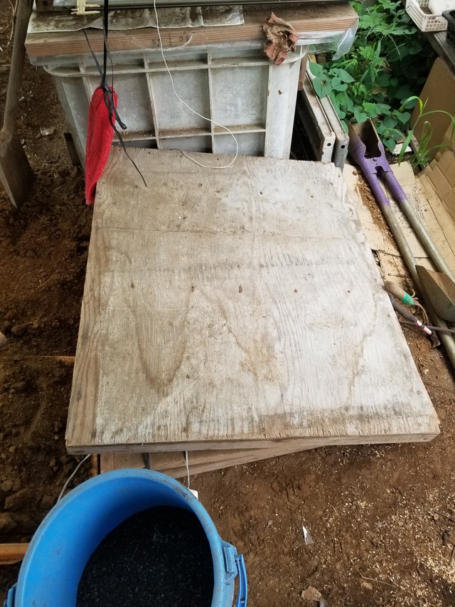 20230708_090311_copy_1512x2016