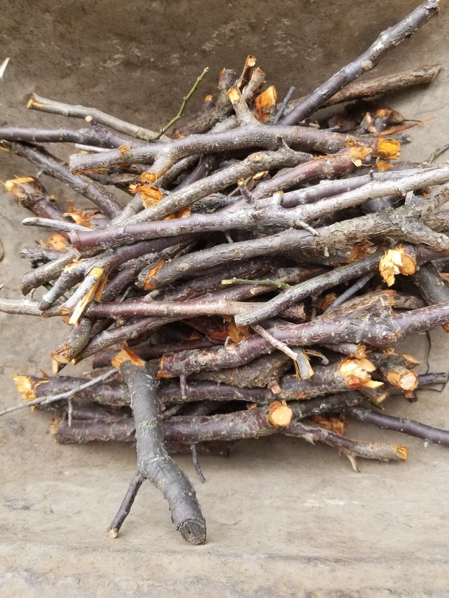 20240408_080742_copy_2268x3024