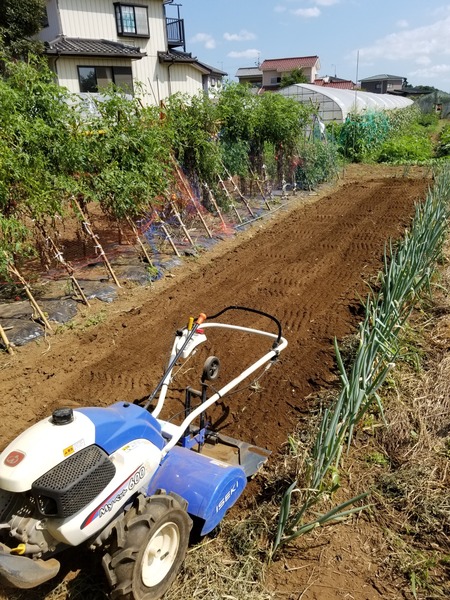 20190804_140251-1620x2160