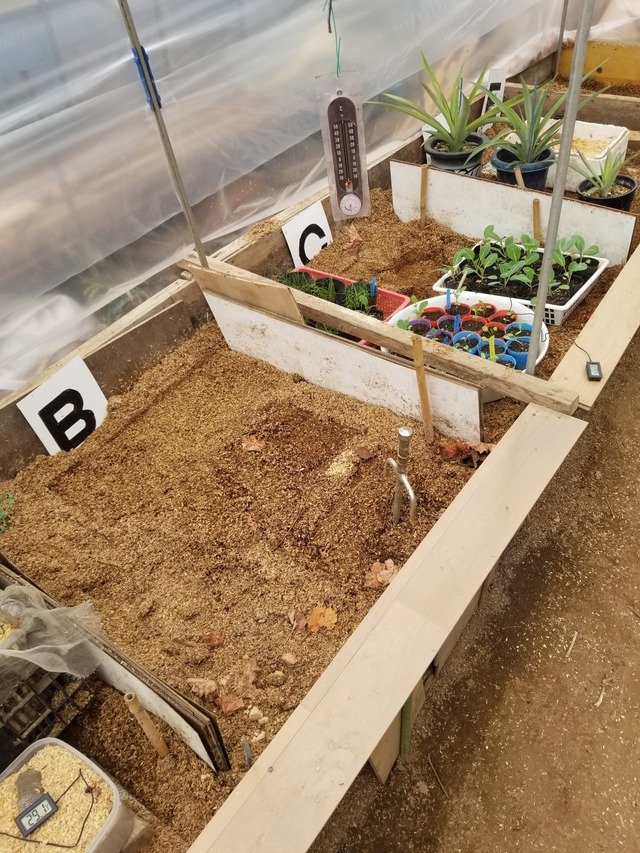 20231228_101321_copy_1512x2016