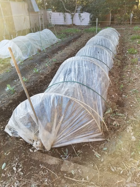 20191228_150426-2268x3024