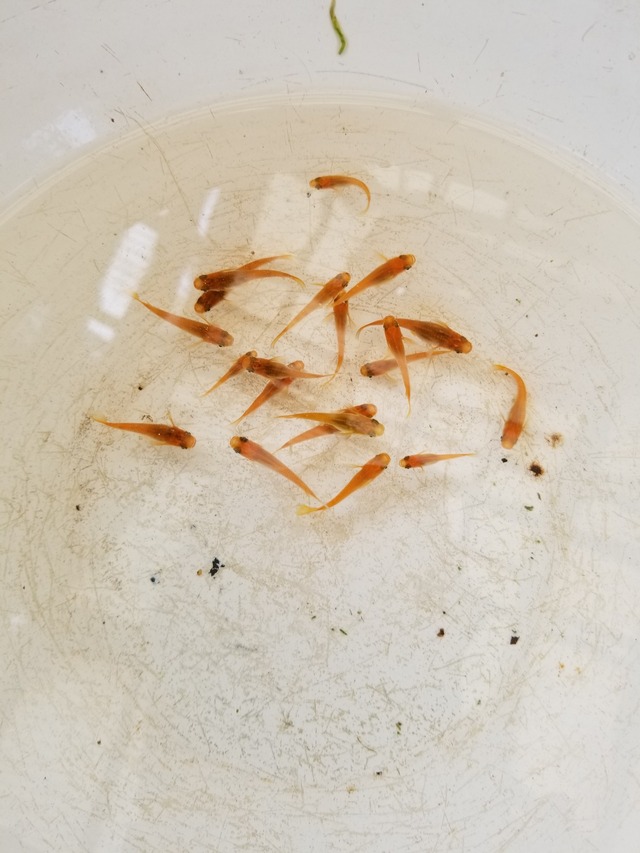 20230506_101456_copy_1512x2016