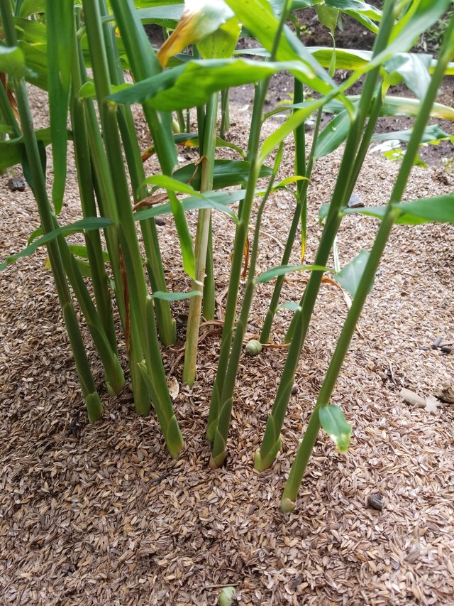 IMG_20230911_102846_copy_1512x2016