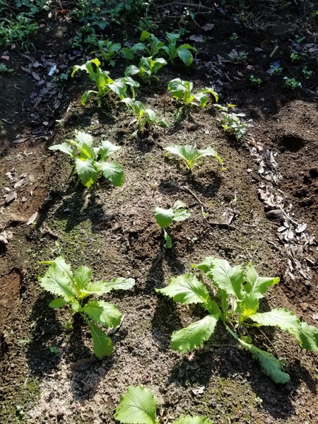 20190927_084354-1620x2160