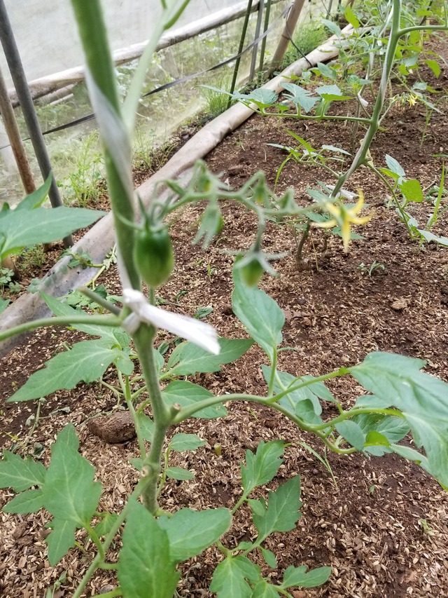 20220523_084627_copy_2268x3024