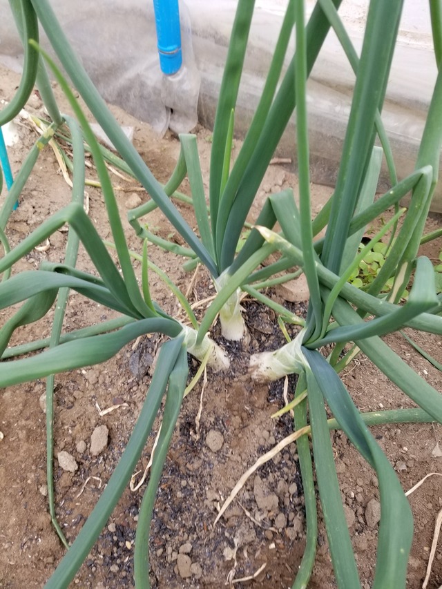 20231211_101117_copy_1512x2016