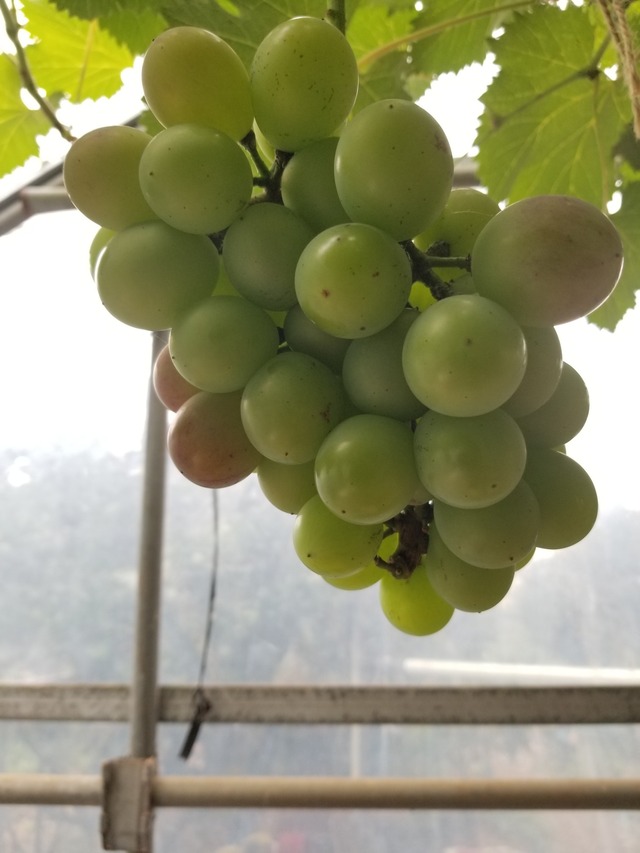 20230708_085459_copy_1512x2016