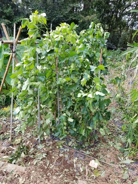 20190909_142125-1620x2160