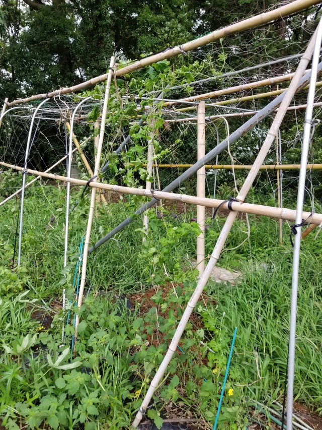 20200701_075856_copy_2268x3024