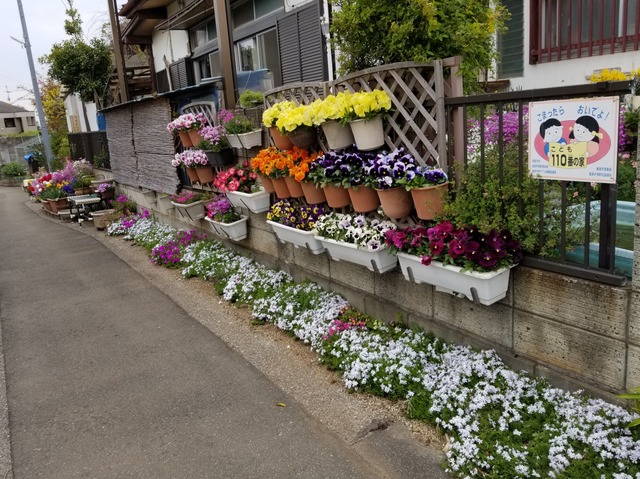 20190414_120256-3024x2268