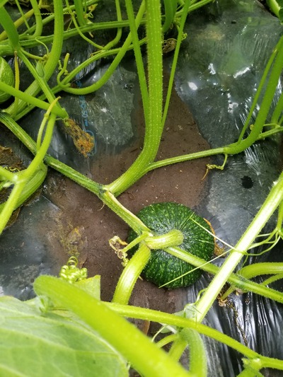 20190628_082636-1620x2160