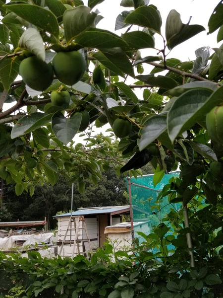 20190816_113226-1620x2160