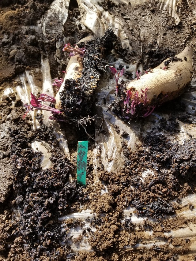 20230311_145435_copy_1209x1612