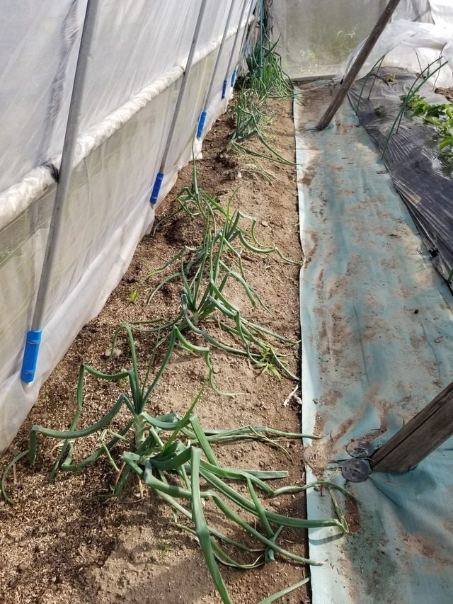 20231122_104354_copy_1512x2016