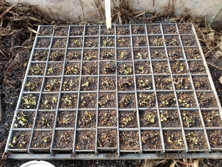 20191212_081531-2160x1620