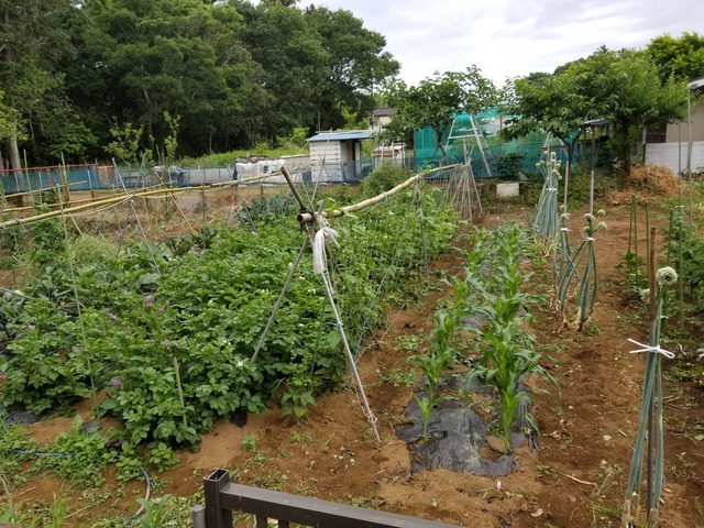 20190603_071407-2160x1620