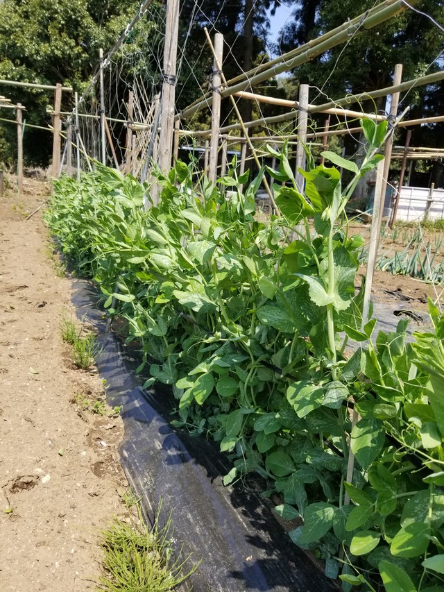 20230401_111322_copy_1512x2016