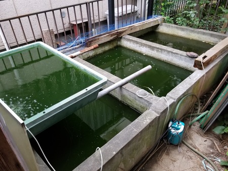 20190706_182629-2160x1620