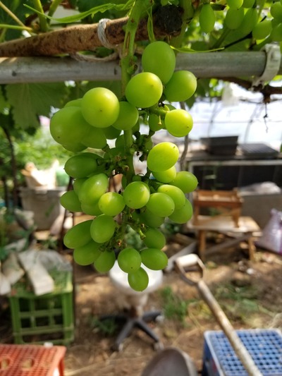 20190617_090326-1620x2160