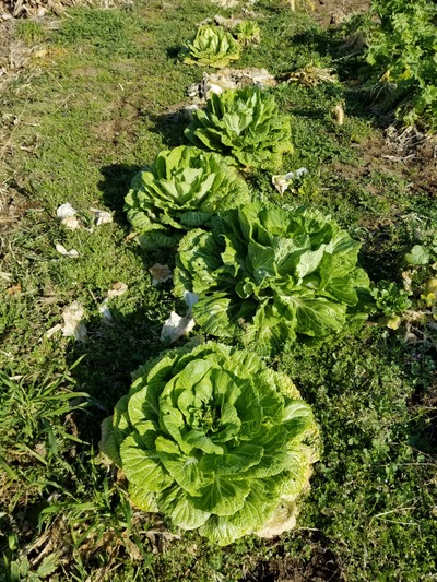 20200220_085742-2268x3024