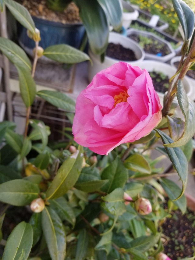 20220319_121431_copy_2268x3024