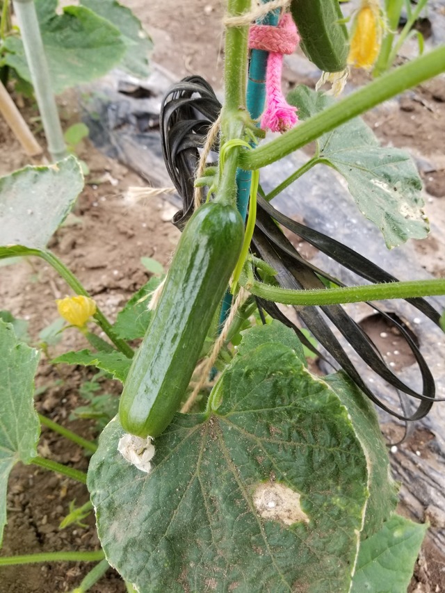 20230513_144038_copy_1512x2016