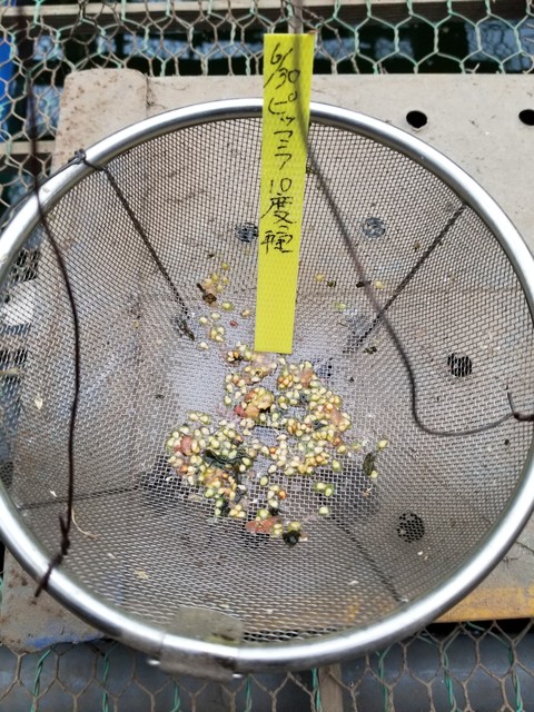 20190630_165215-1620x2160