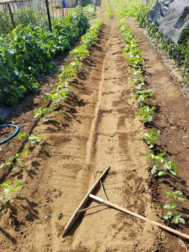 20230727_092747_copy_1512x2016