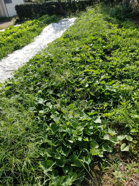 20190806_075704-1620x2160