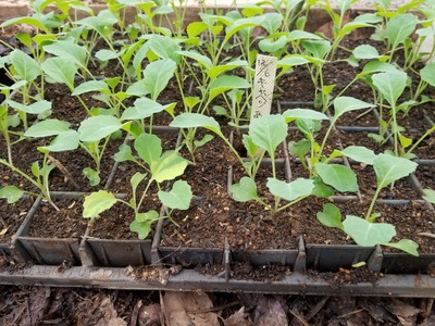 20200127_085443-3024x2268