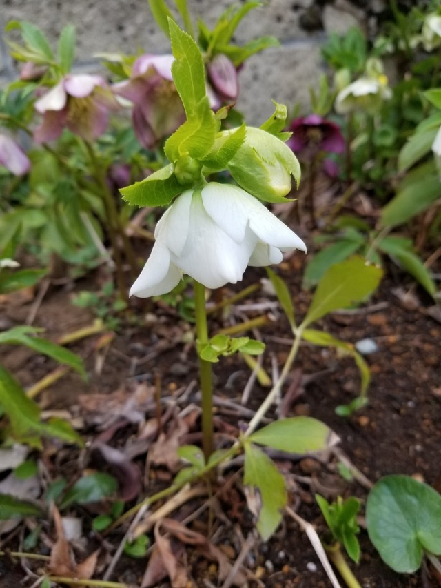 20230304_161737_copy_1209x1612