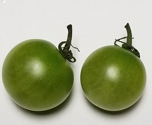 20190701_083232