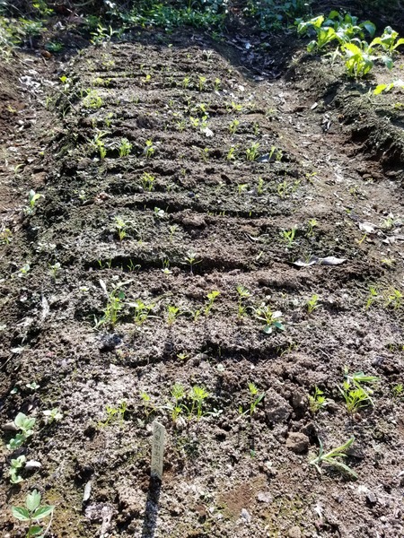 20190927_084246-1620x2160