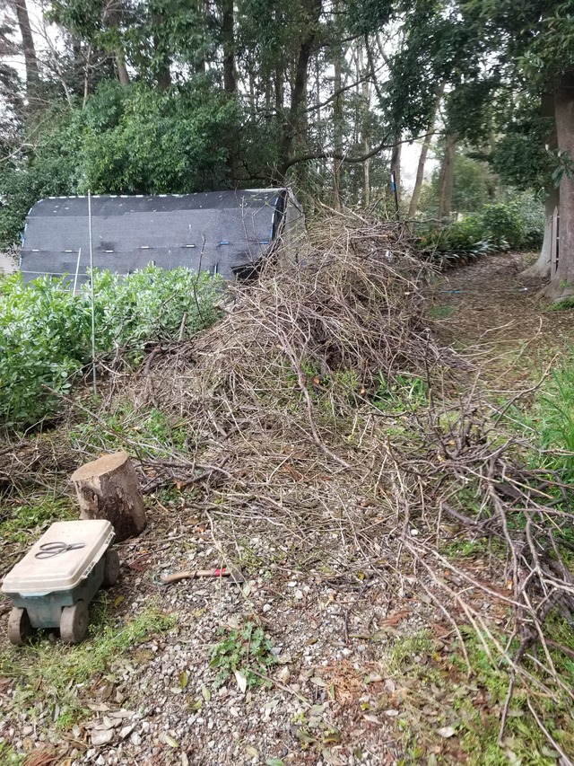 20240408_080718_copy_2268x3024