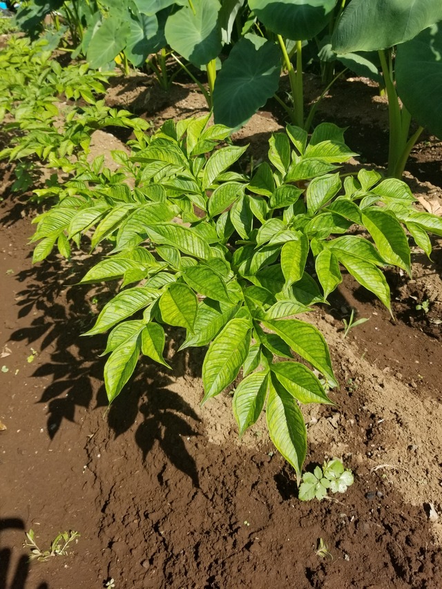 20210721_084810_copy_2268x3024