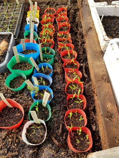 20200220_082656-2268x3024