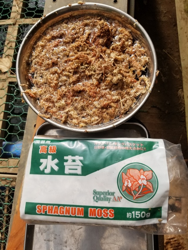 20230814_080554_copy_2016x1512