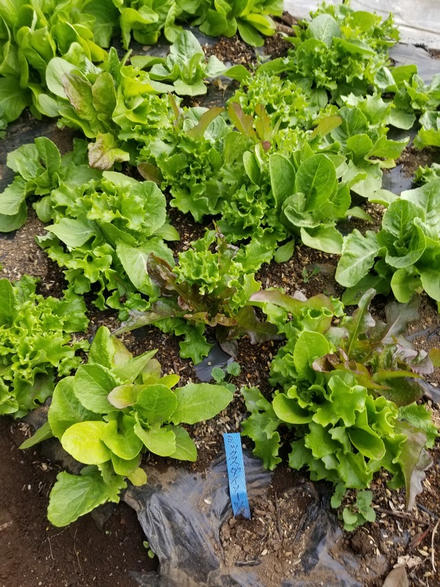 20240122_135936_copy_1512x2016