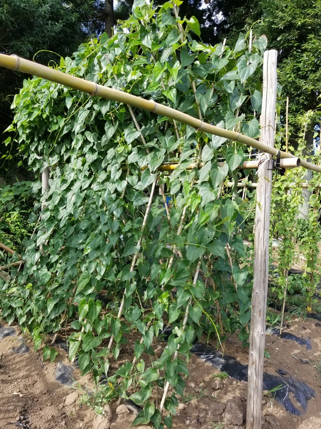 20230721_152901_copy_1512x2016