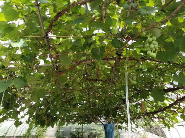 20220711_075641_copy_2016x1512