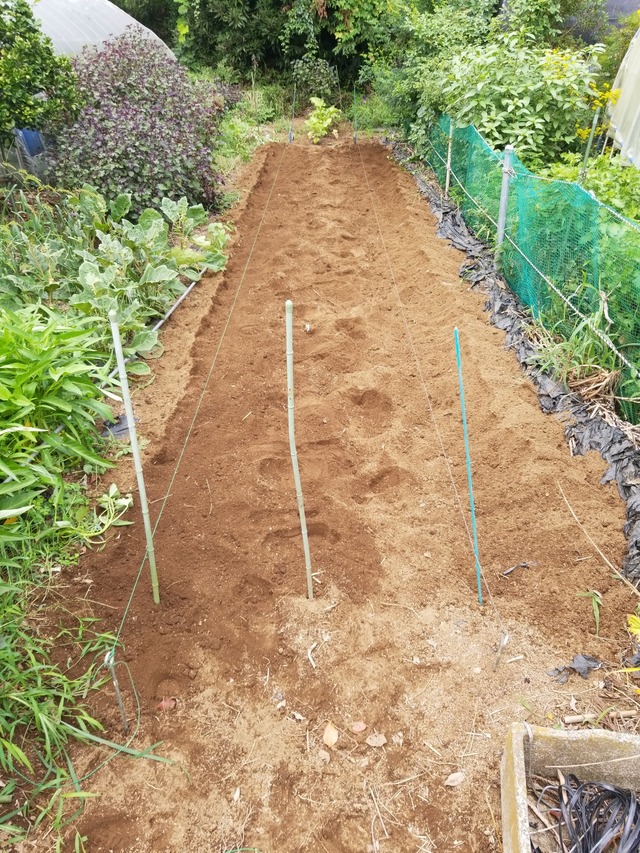 IMG_20230828_100928_copy_1512x2016