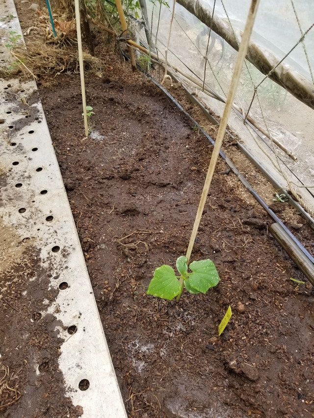 20230719_093859_copy_1512x2016