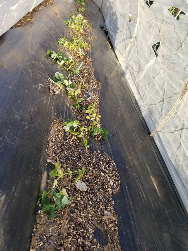 20230106_080603_copy_1512x2016