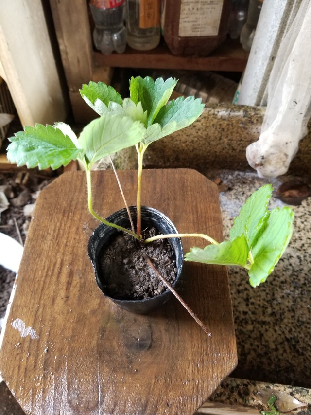 20230721_103829_copy_1512x2016