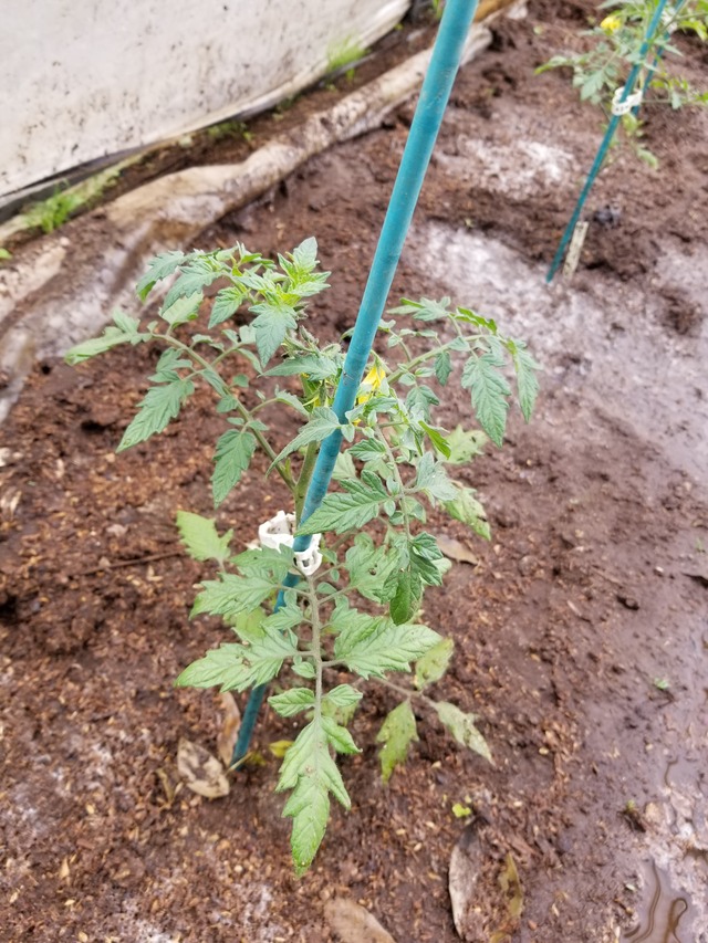 20210425_084459_copy_2268x3024