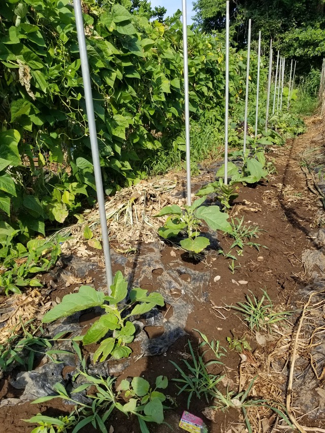 20220630_080303_copy_1512x2016