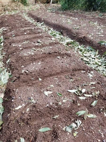 20190909_142056-1620x2160