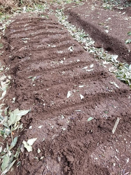 20190909_142107-1620x2160