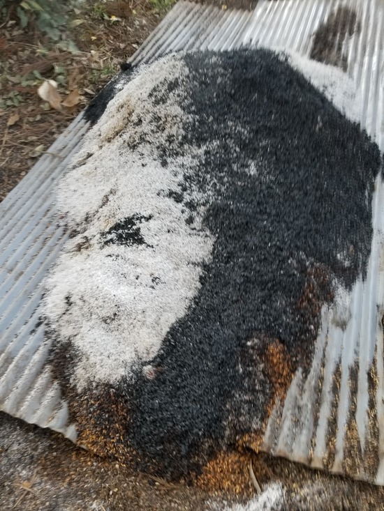 20191117_082057-1620x2160