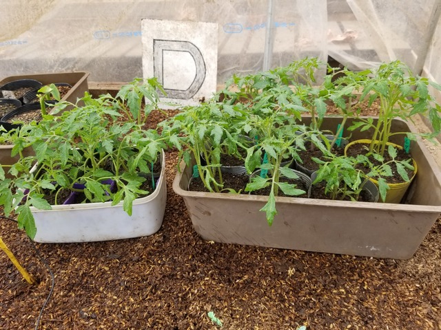 20230321_110508_copy_1612x1209